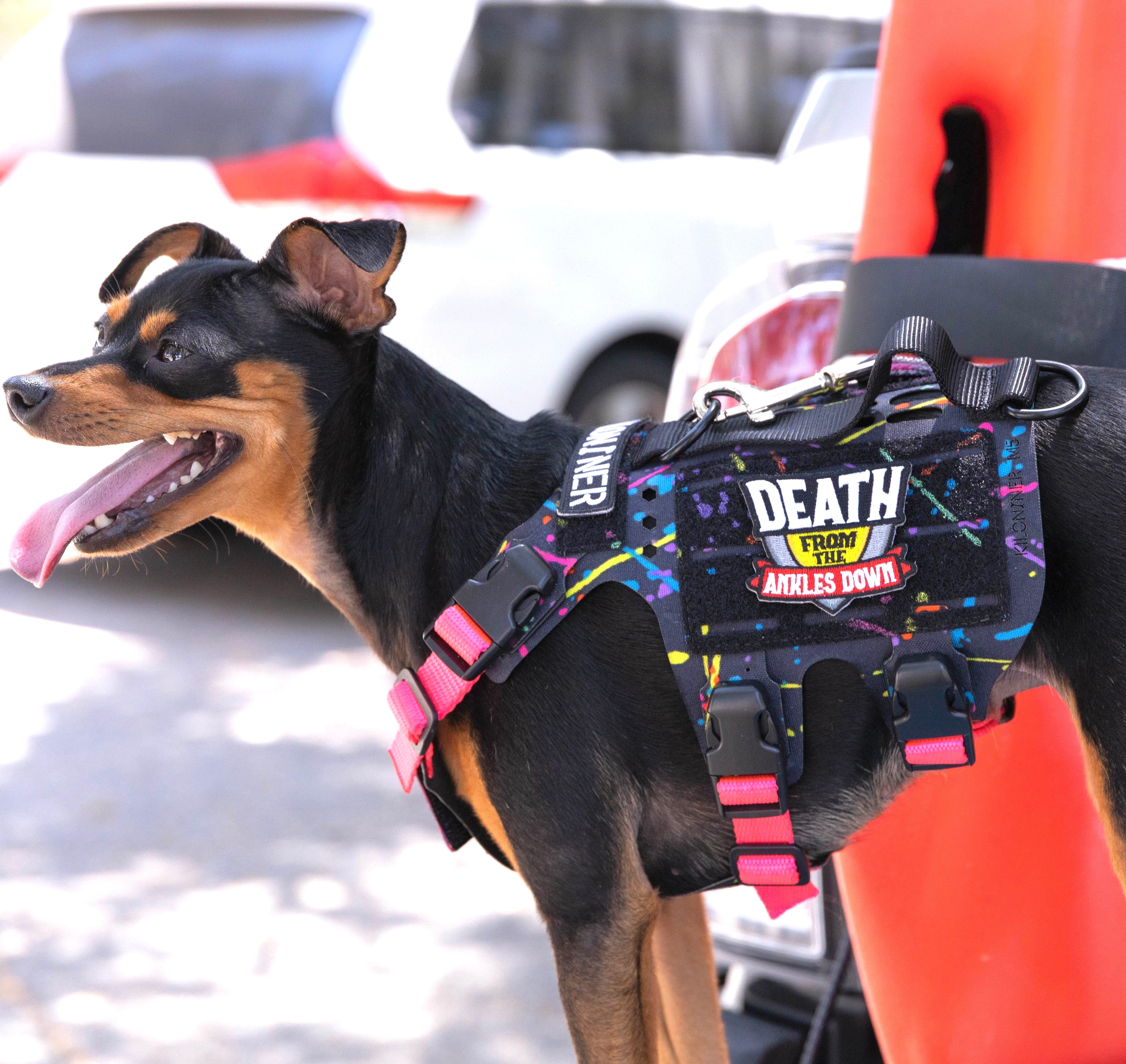 K9R - M5 MOLLE Light Harness