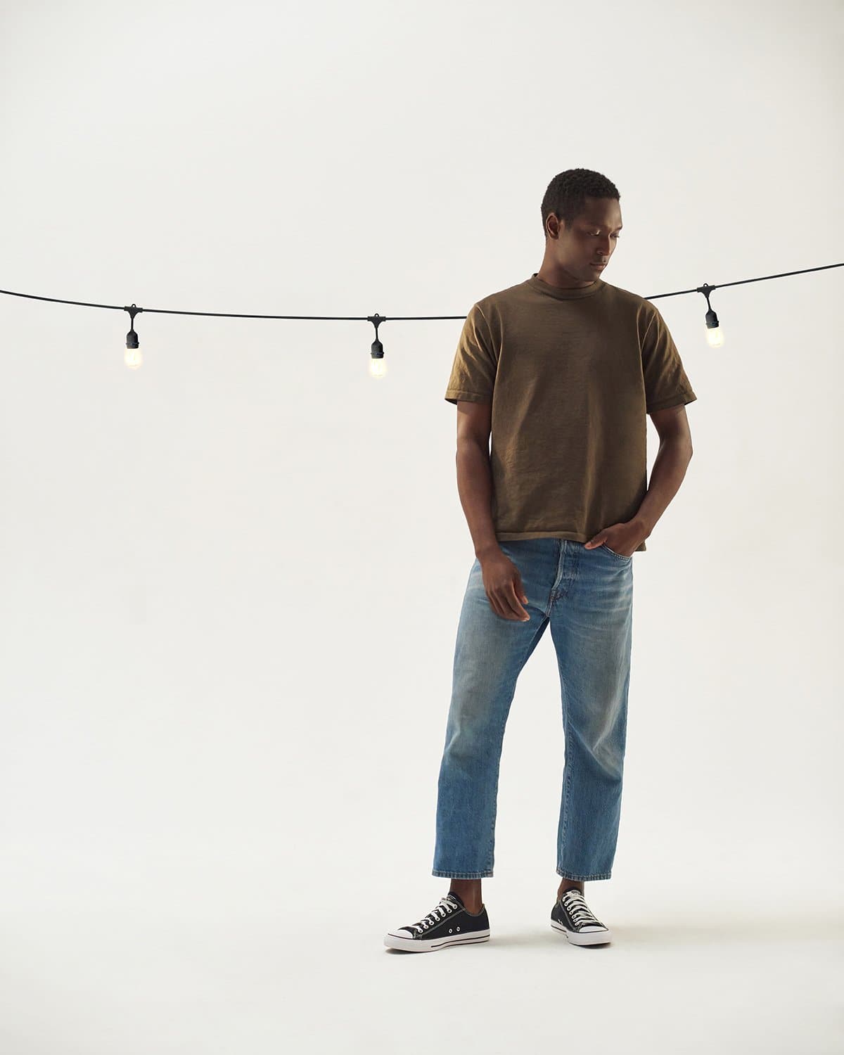 Ambience Pro LED Plug-in String Lights