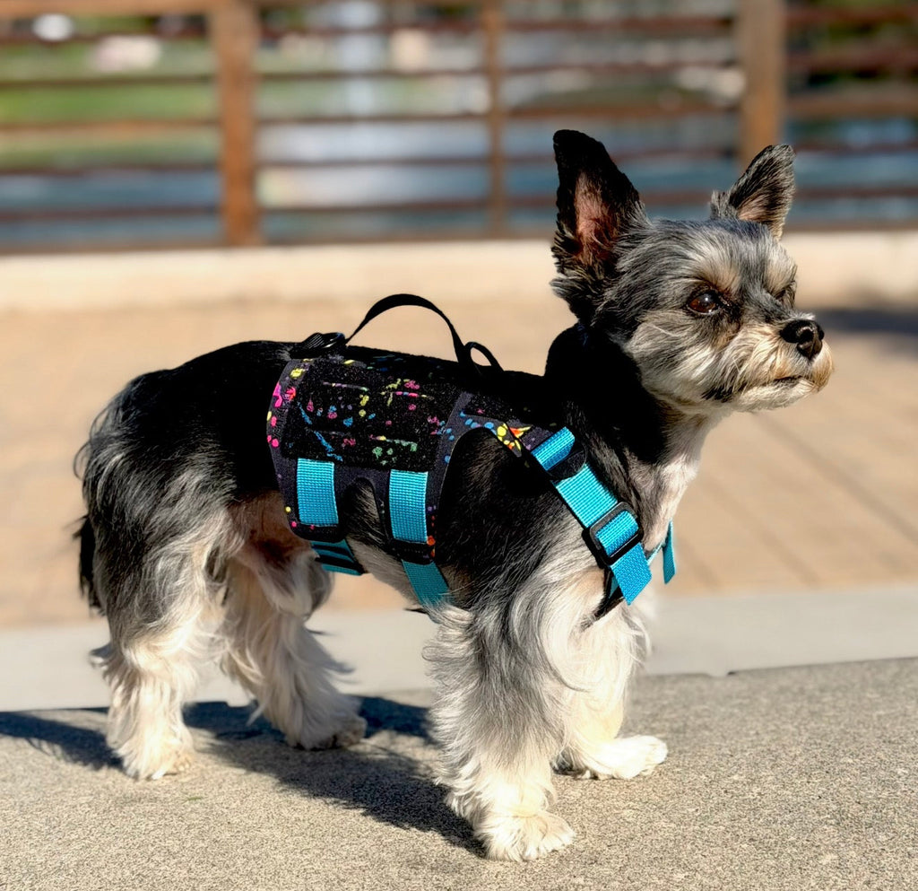 K9R - M5 MOLLE Light Harness