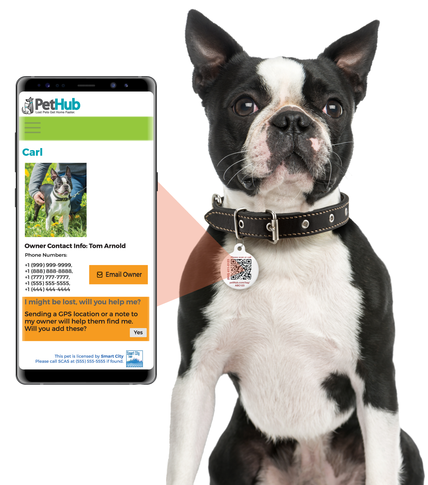 PetHub QR Pet ID Tag – Classic Aluminum