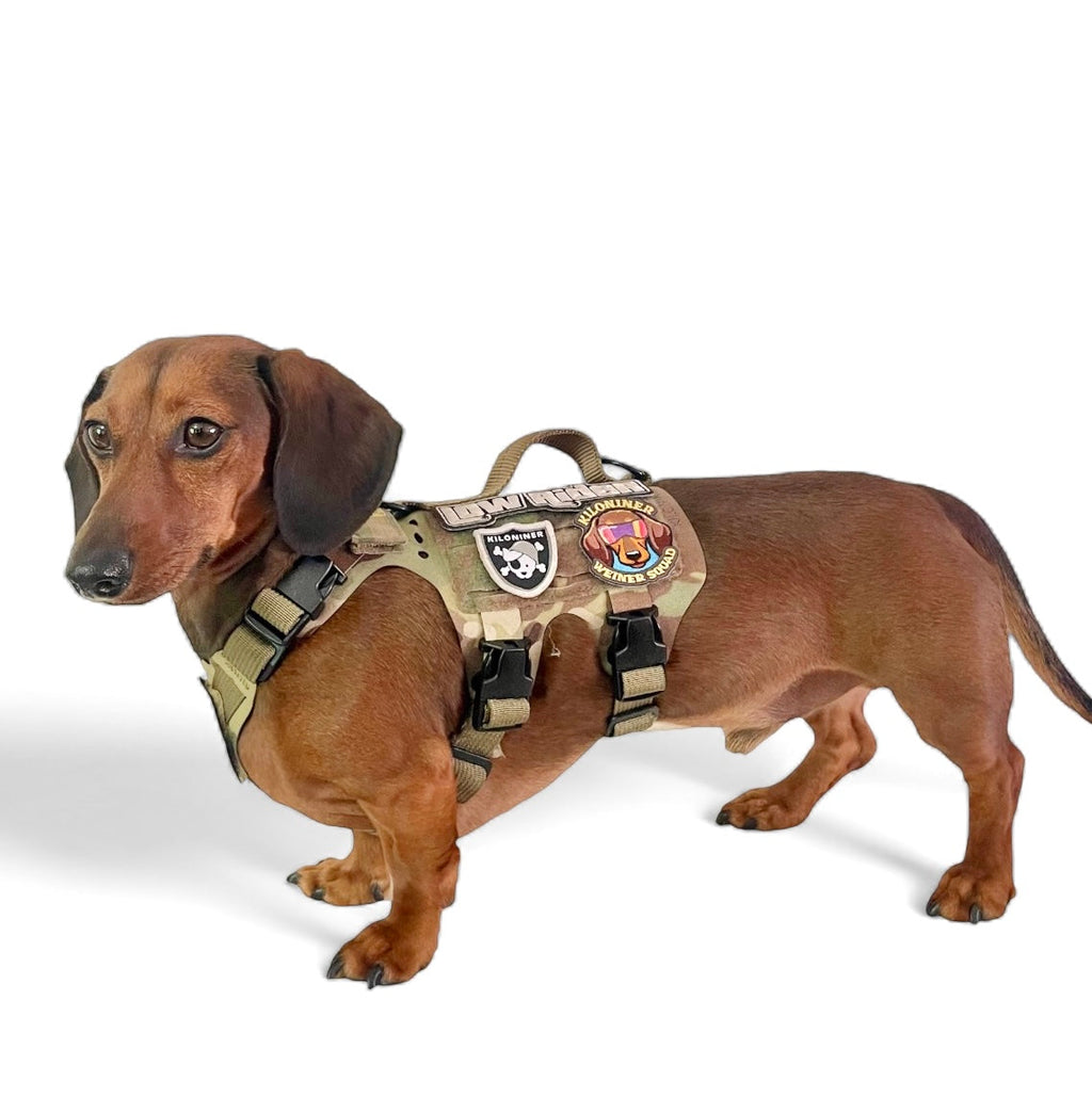K9R - M5 MOLLE Light Harness
