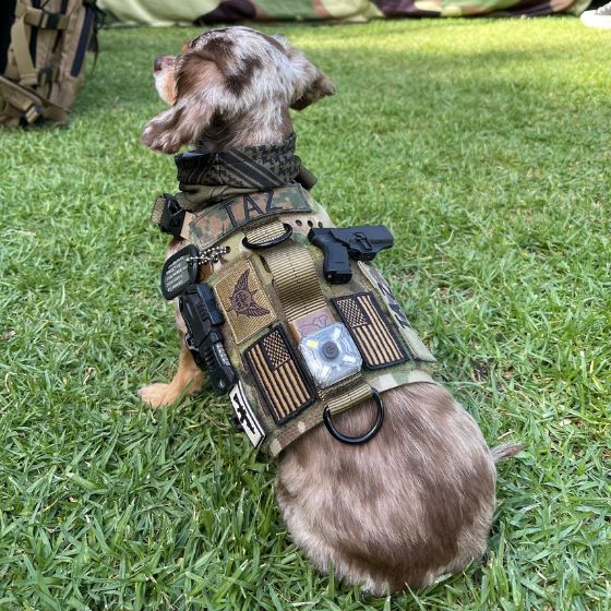 K9R - M5 MOLLE Light Harness